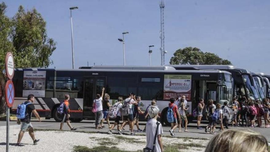 El transporte oficial es prioritario para miles de alumnos en Torrevieja y Orihuela.