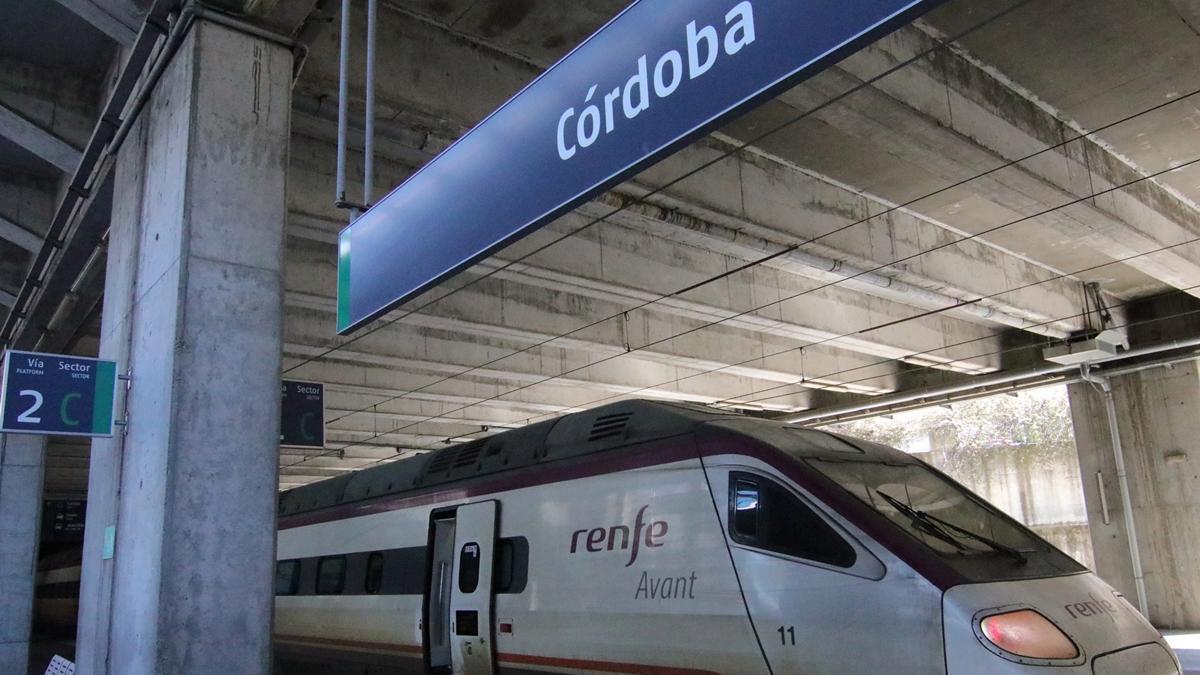 Un tren Avant llega a la estación de Córdoba.