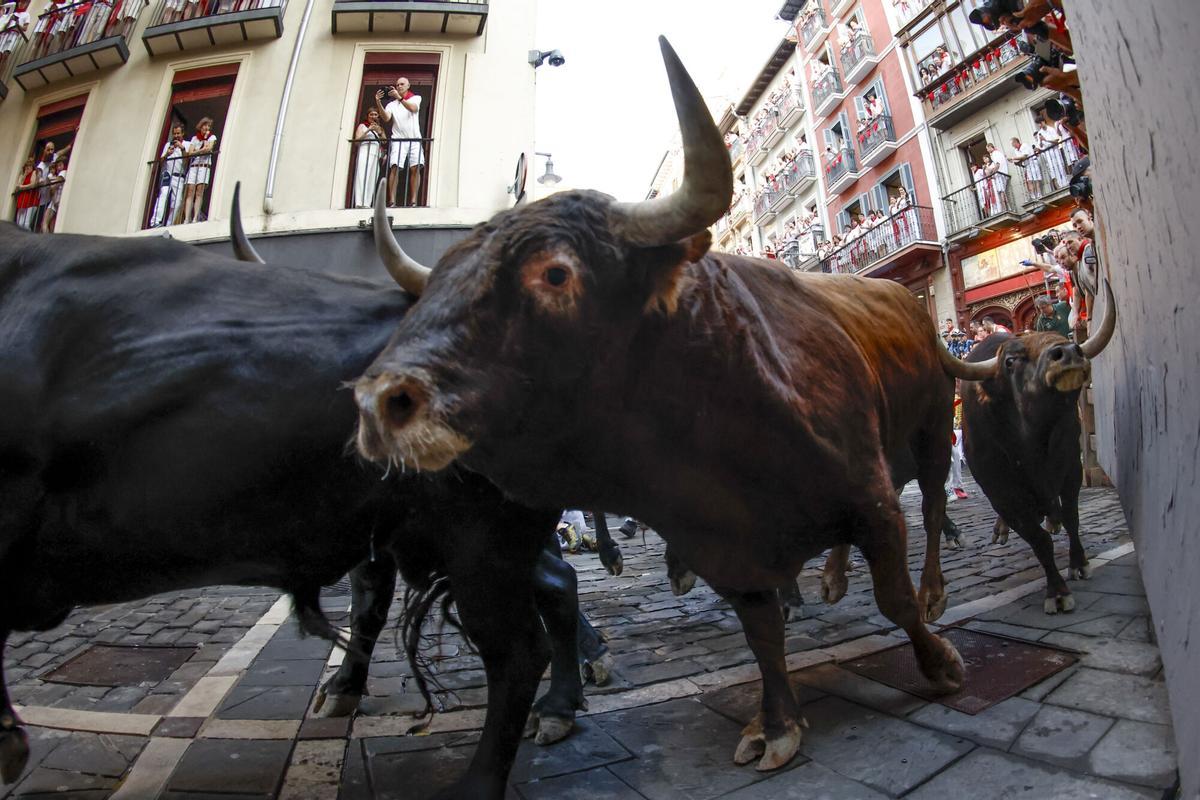 El tercer encierro de los Sanfermines 2026 ha sido rápido y emocionante con bonitas carreras de los corredores. El tercer encierro de los Sanfermines 2026 ha sido rápido y emocionante con bonitas carreras de los corredores.