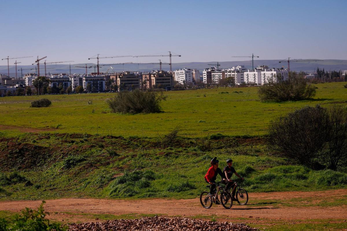Viviendas de nueva construcción en Huerta Santa Isabel.