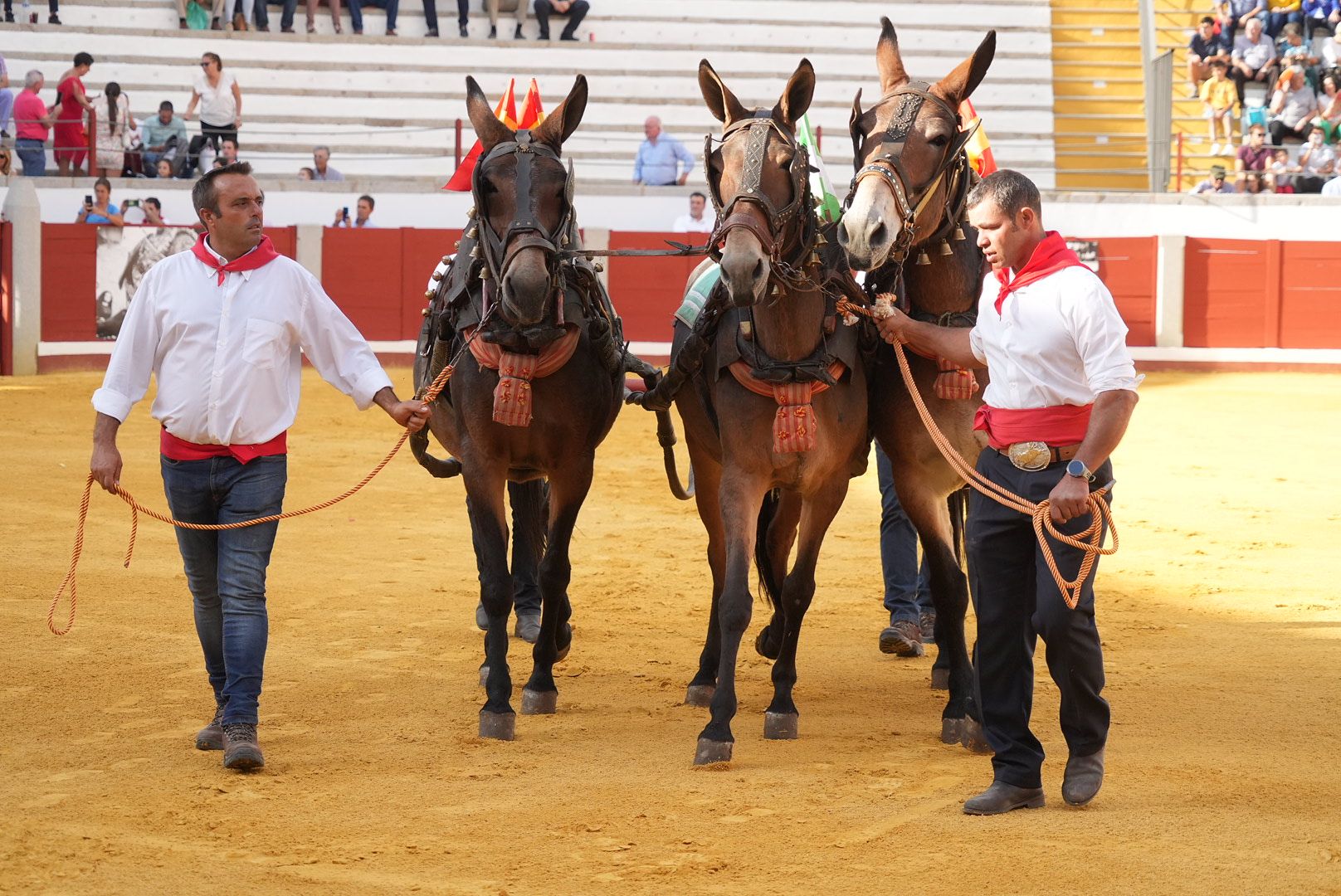 Puerta grande para Hermoso en la corrida de rejones en Pozoblanco