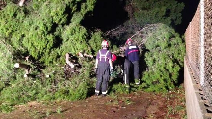 día de hacer balance y comenzar a reparar las carreteras afectadas y a limpiar la vía pública.Una máquina del Consorcio Provincial de Bomberos actúa en uno de los caminos del interior de la provincia, impracticable por la acumulación de piedras. f siab Los bomberos retirando árboles caídos. f siab La rambla de Vistabella, completamente desbordada. f j. tenaEl pantalán donde repostan las embarcaciones de Borriana amaneció ayer destrozado f m. guardiola Muchas carreteras del interior han aparecido con socavones. f siab