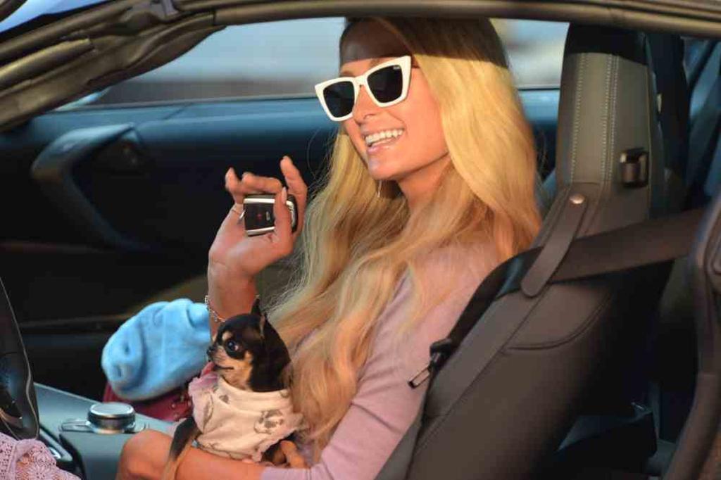 Pris Hilton saluda con su perro en el coche