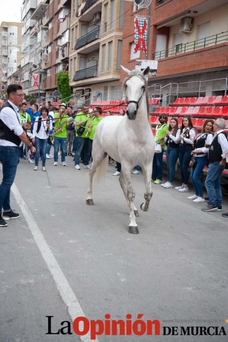 Caballos del Vino: Concurso morfológico (salida Pl