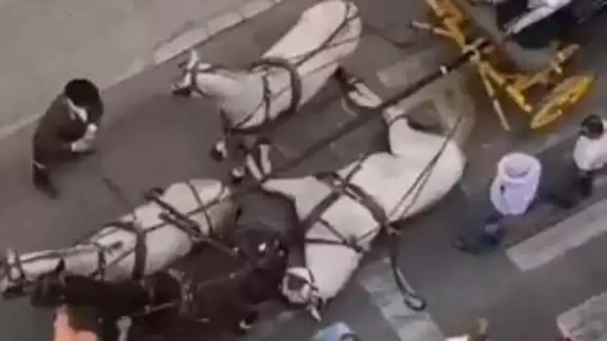 Los veterinarios niegan maltrato al caballo que se cayó al suelo en la Feria
