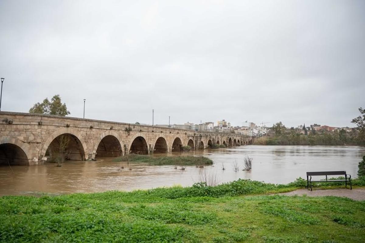 El Guadiana baja crecido a su paso por Mérida durante los episodios del temporal.