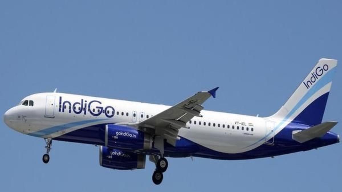 indigo airlines