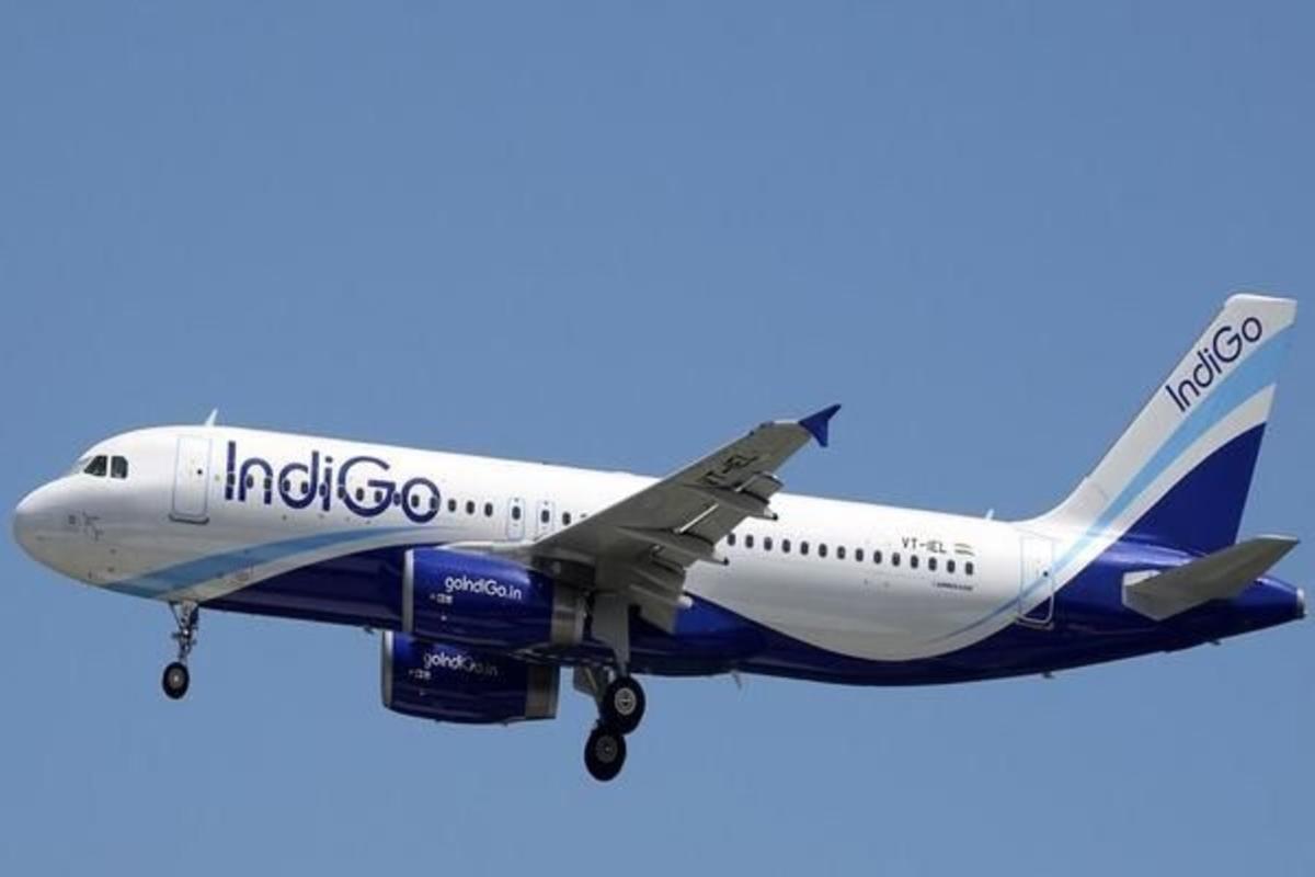 indigo airlines