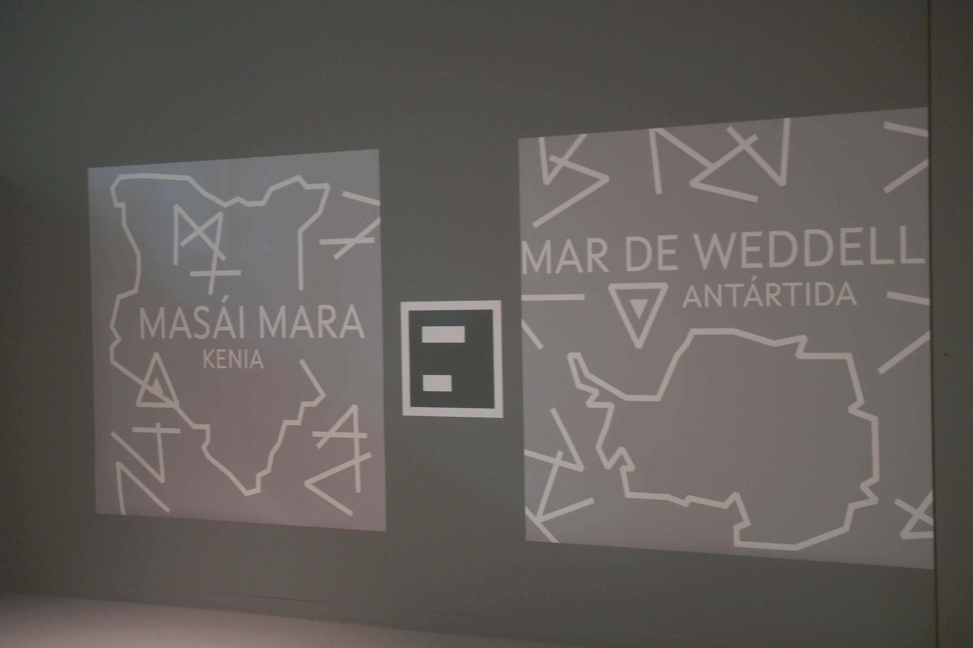 La exposición 'Hábitats. Natureza estendida' abre el 24 de abril en Afundación