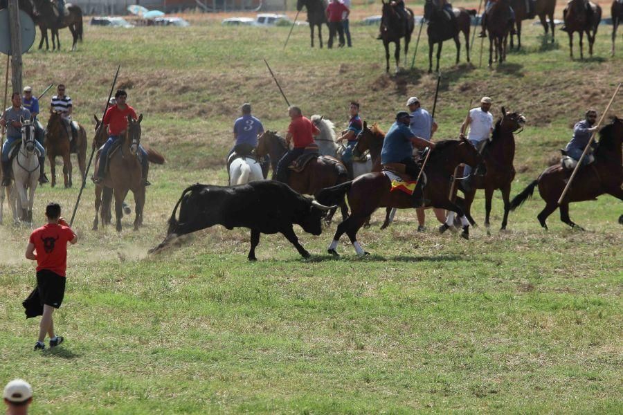 Segundo espante de Guarrate, con un caballista her