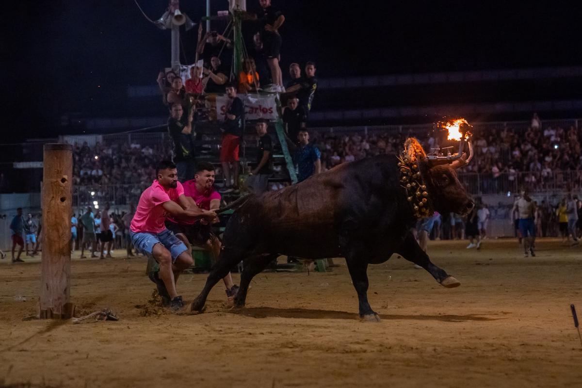 Una noche de toro embolado en el recinto