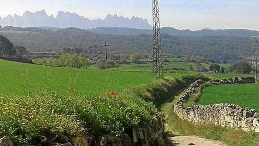 El camí transversal del Poal forma part de la xarxa de vials rurals