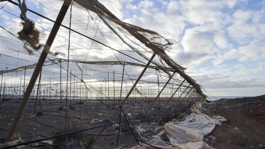 Invernaderos, abandonados en el sureste