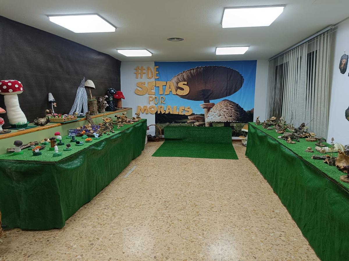 Exposición micológica en Morales de Valverde.