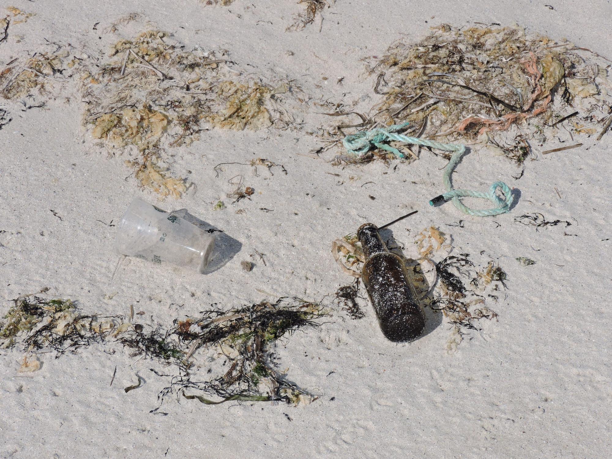 Así luchan los voluntarios de Abanca contra la basura marina y las plantas invasoras en la isla de Sálvora.