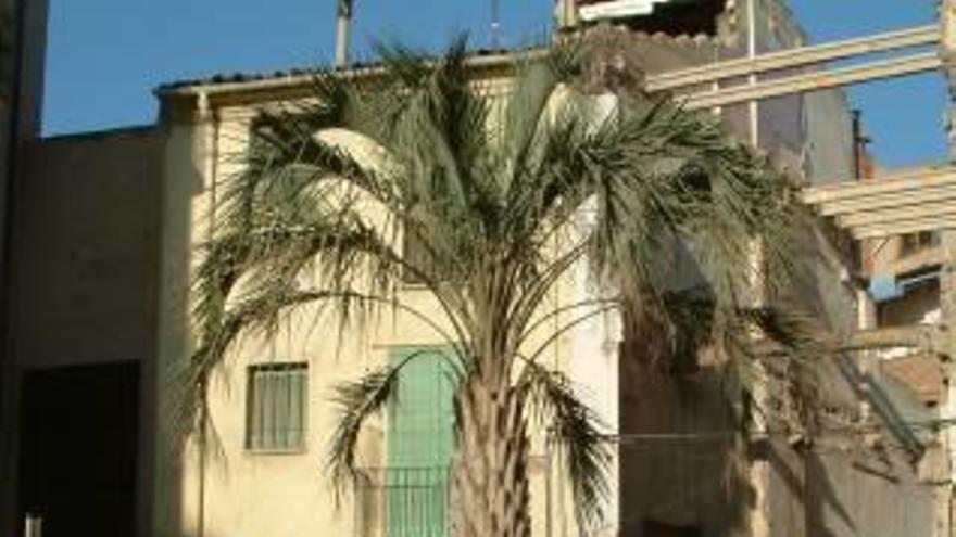 Tallen la palmera de la placeta de Tahones, al barri antic, que s&#039;havia mort