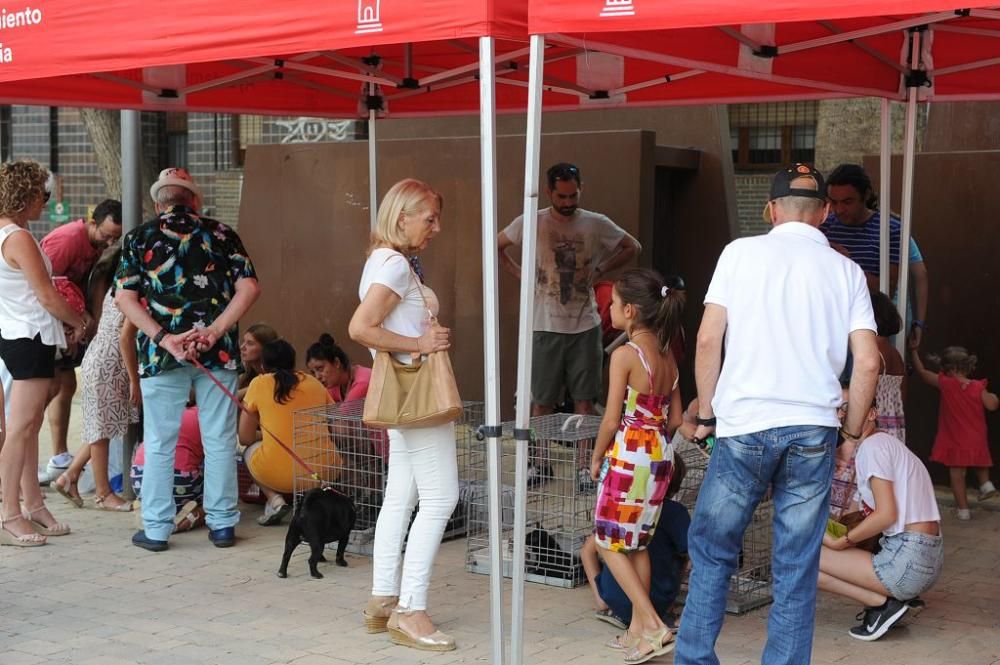 Muestra de mascotas en La Fama