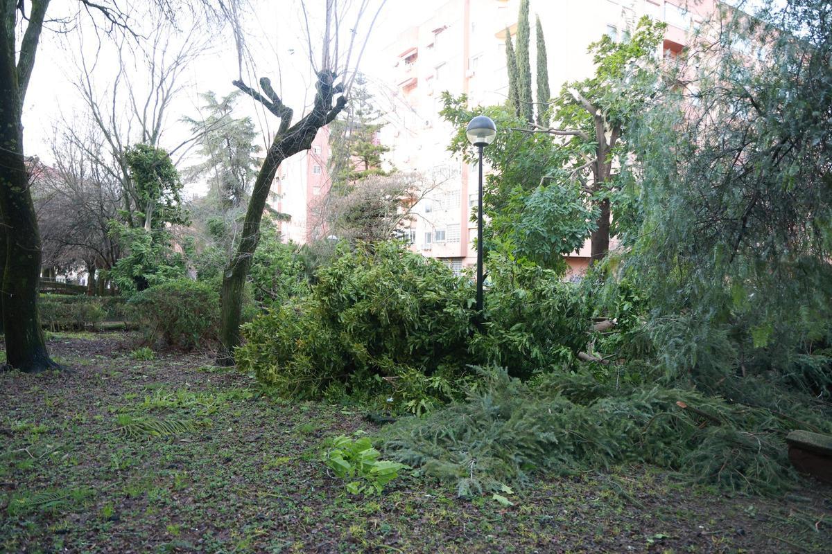 El drama de Médco Sorapán: la borrasca en Cáceres El drama de Médco Sorapán: la borrasca en Cáceres