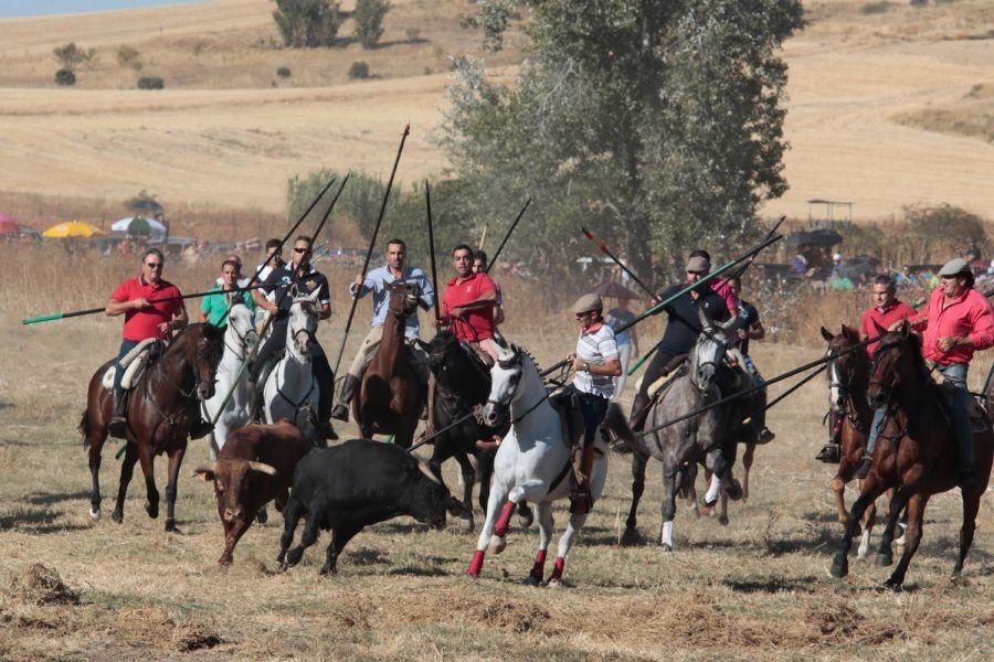 Encierro mixto en San Miguel de la Ribera