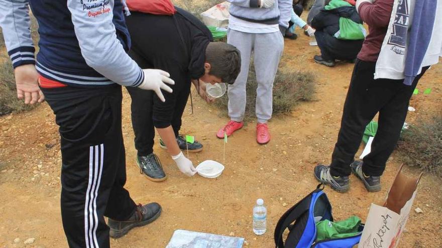 Varios escolares que participaron el pasado curso en el proyecto de la Diputación Provincial.