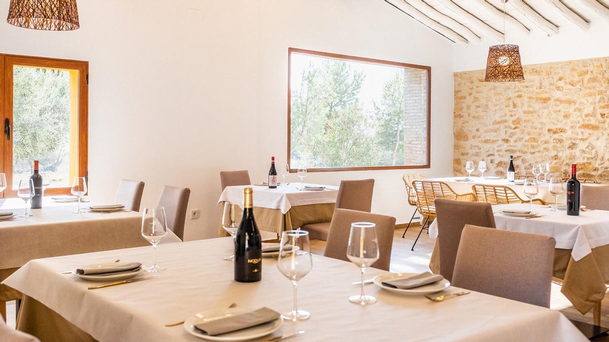 En la actualidad Bodegas Nodus plantea cinco experiencias tematizadas.