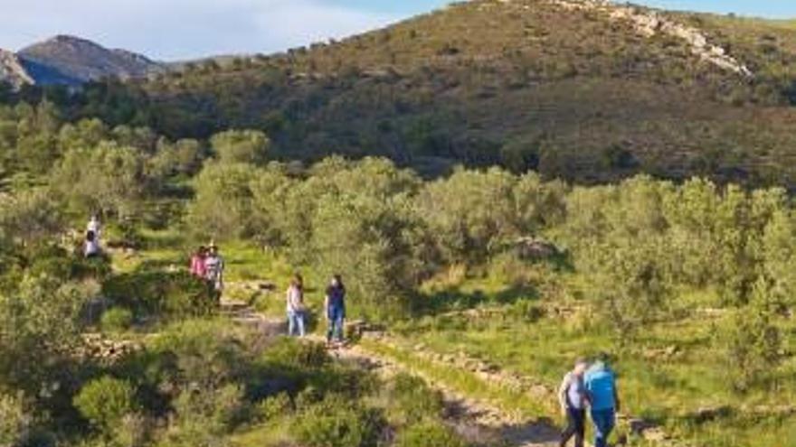 La proposta permet conèixer millor el municipi.