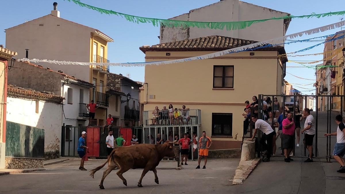 Los actos taurinos tendrán un gran protagonismo durante este primer fin de semana en Vilar de Canes.