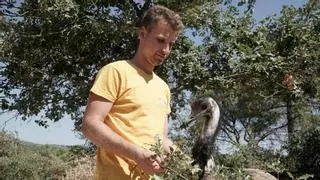 Refugis de la Catalunya central que donen una nova vida a la fauna salvatge