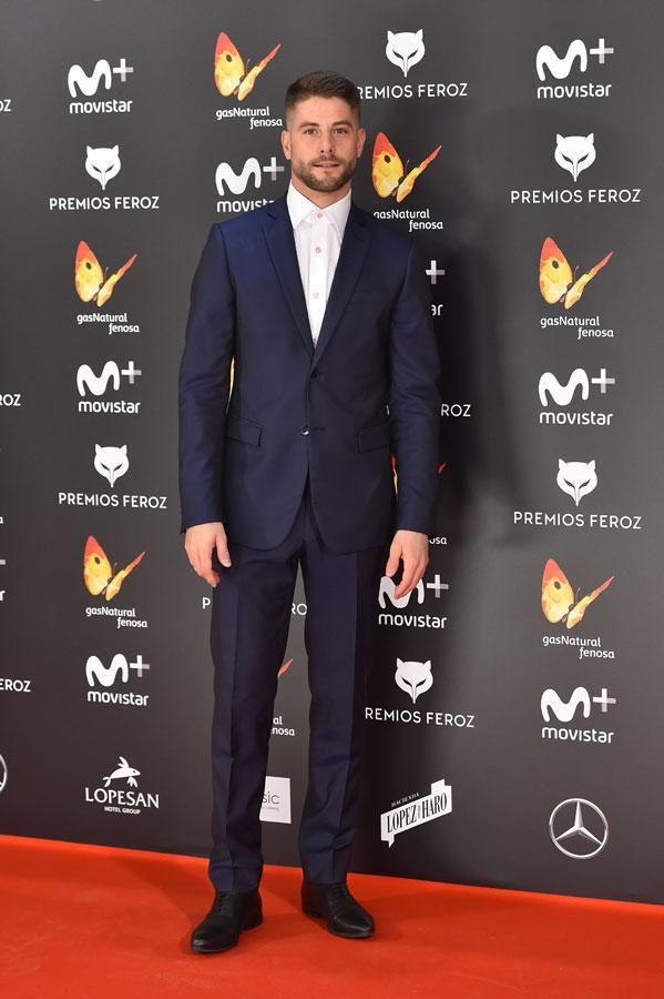 Premios Feroz 2017: Luis Fernández