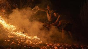 Sense reduir emissions, els focs forestals es poden triplicar