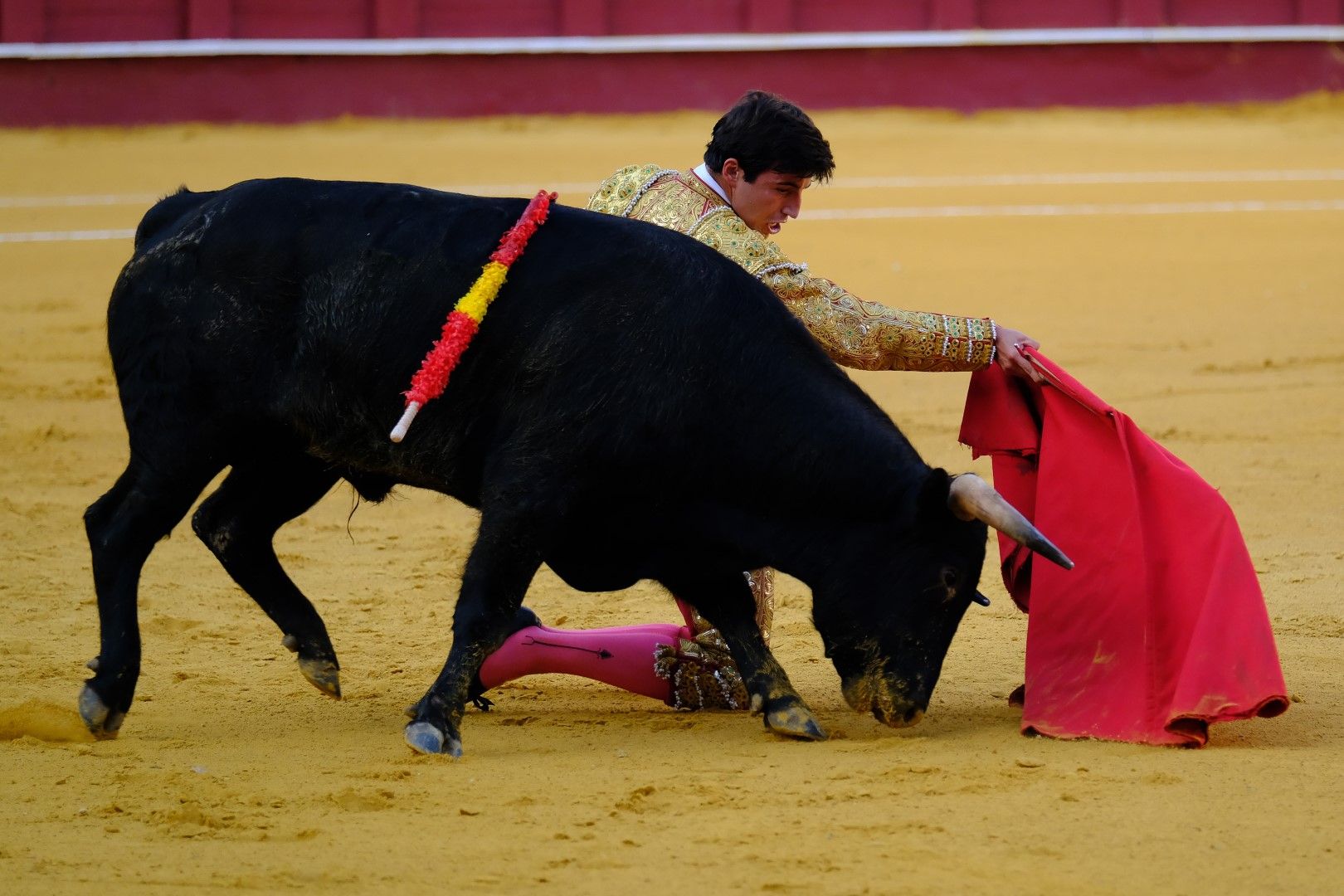 XVI Certamen Internacional de Escuelas Taurinas La Malagueta