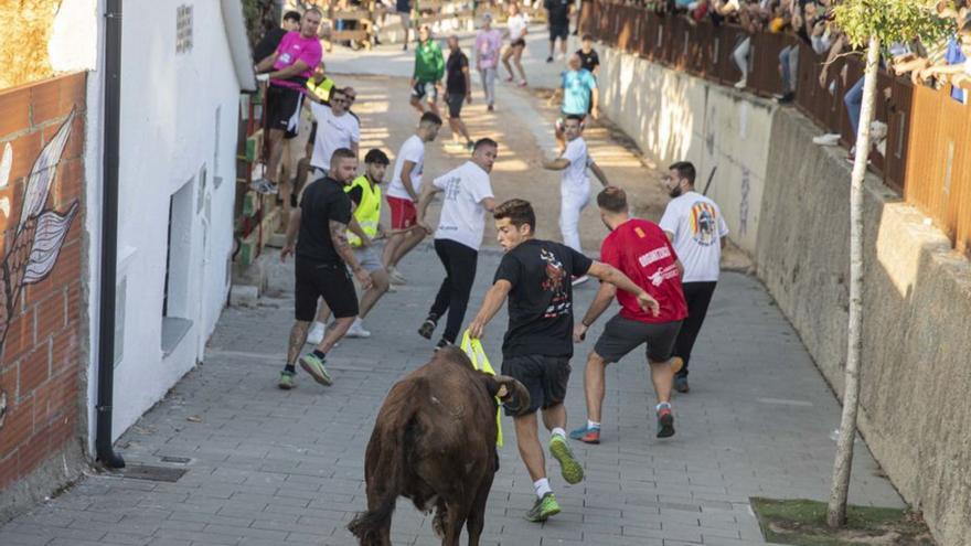 Avui comença la Festa Major de Vidreres 2023, preparats pel &#039;Correbous&#039;?