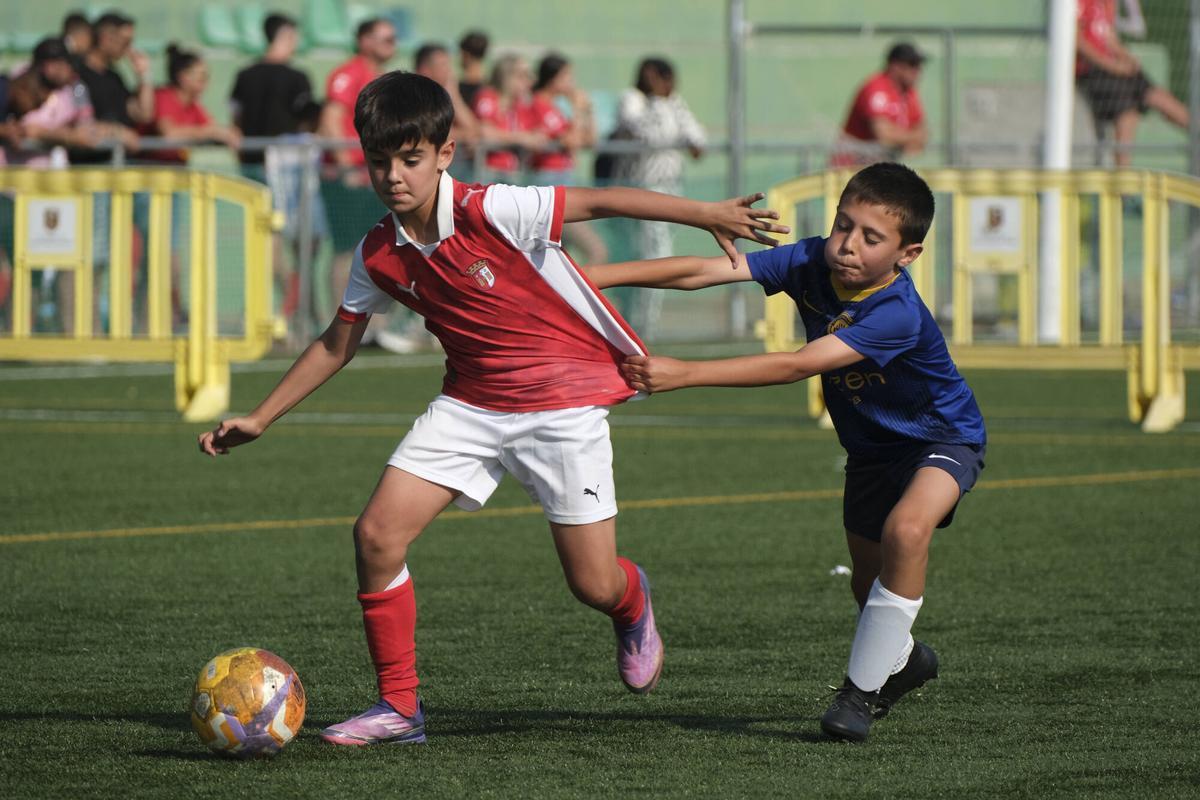 Imatges de la TEA Football Cup 2026 de Sant Fruitós