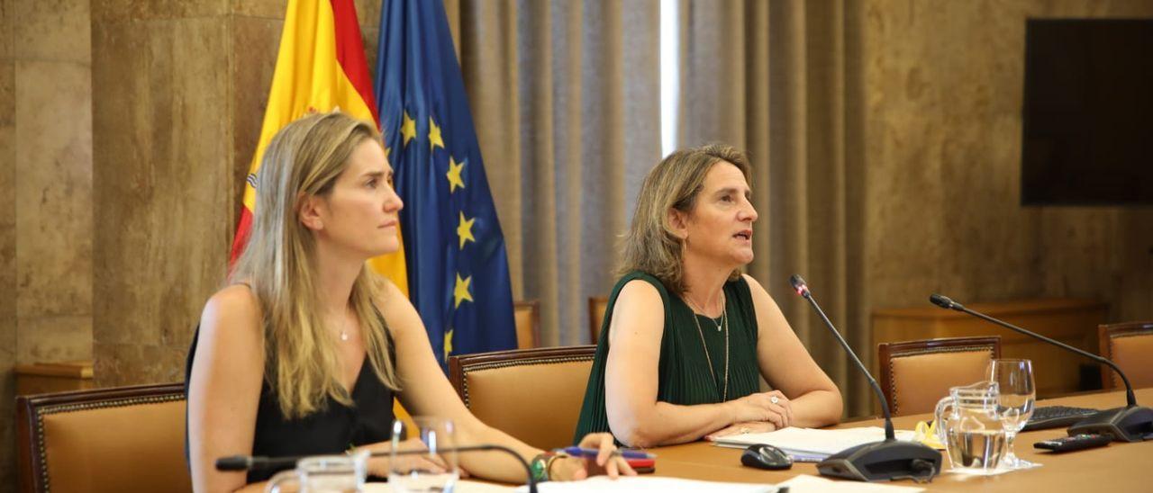 Ribera y Aagesen, durante la reunión con todas las autonomías