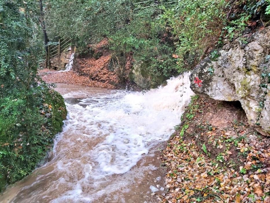 L'aigua a les Coves del Toll