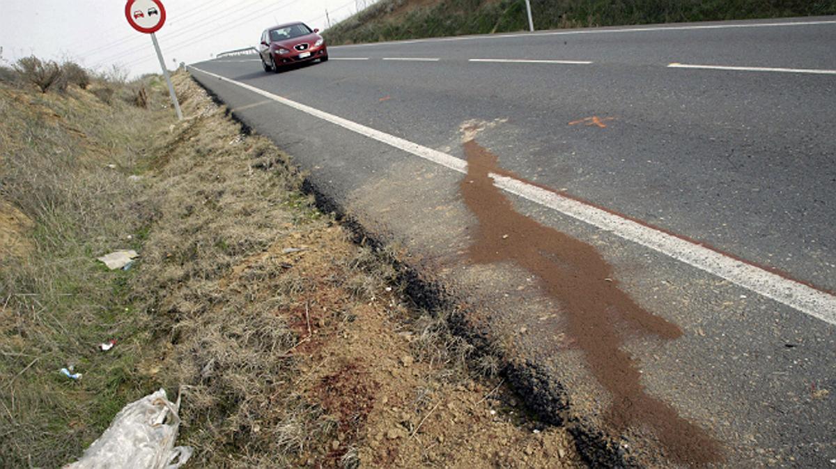 Tres menors mortes al ser atropellades per un turisme a la carretera que uneix Torrijos i Fuensalida.