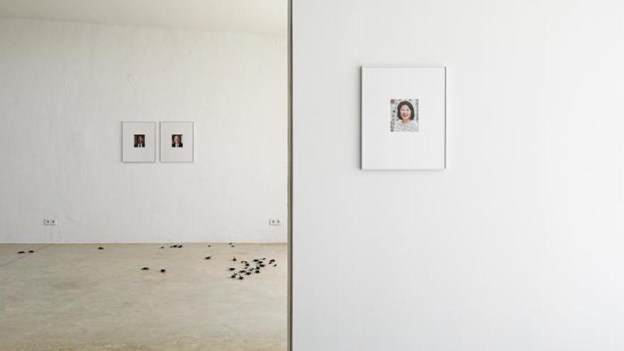 Los retratos de agentes inmobiliarios &#039;dialogan&#039; con los insectos de plástico.  | TONI ESCOBAR
