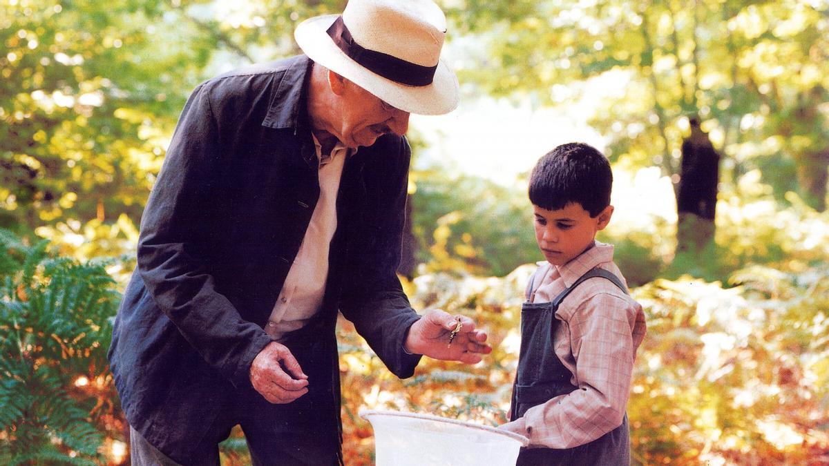 La lengua de las mariposas