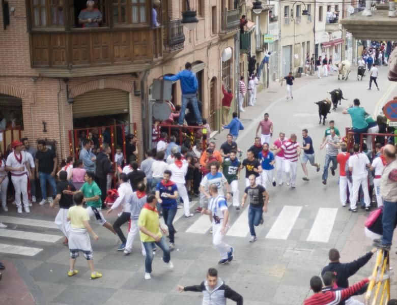 Becerrada, encierros y vaca de la sangría