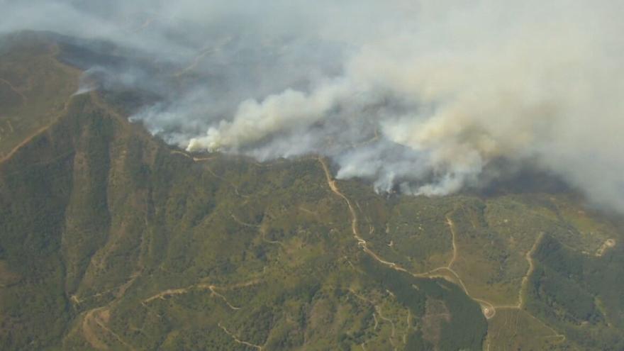 ¿Qué son los incendios de sexta generación, como el que ha arrasado Málaga?