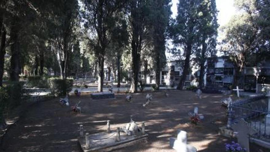 Zona antigua del cementerio de Alberic, ayer.