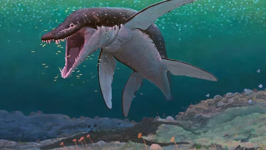 Los restos de un antiguo monstruo marino revelan al pliosaurio mega depredador más antiguo