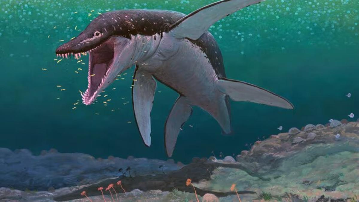 El pliosaurio megadepredador más antiguo, Lorrainosaurus, recreado en el antiguo mar del Jurásico Medio, que cubría lo que hoy es el norte de Francia hace 170 millones de años.