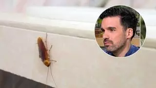 Andreu García, biólogo: “Una cucaracha en casa no siempre es una plaga, pero si ves varias hay un problema”
