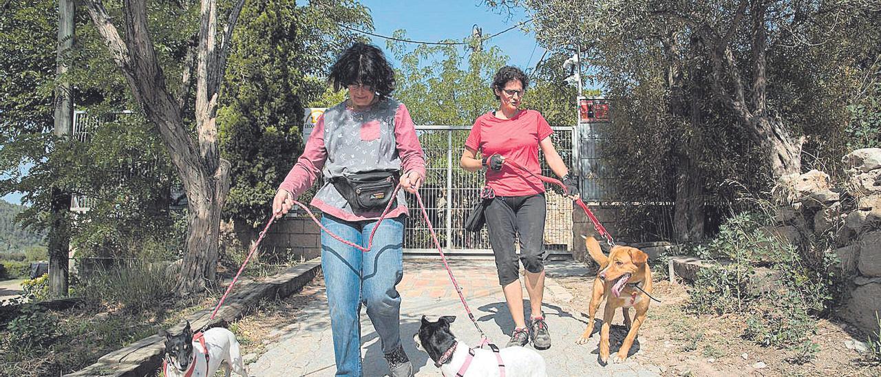 Les voluntàries Alba Simon i Ana Soriano passejant gossos de la protectora