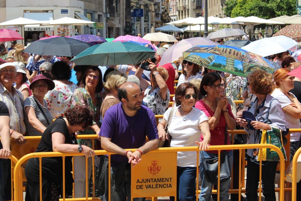 Besamanos a la Virgen de los Desamparados