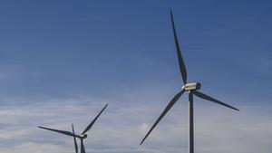 El Govern crea  un fons de 100 milions per entrar  en empreses clau