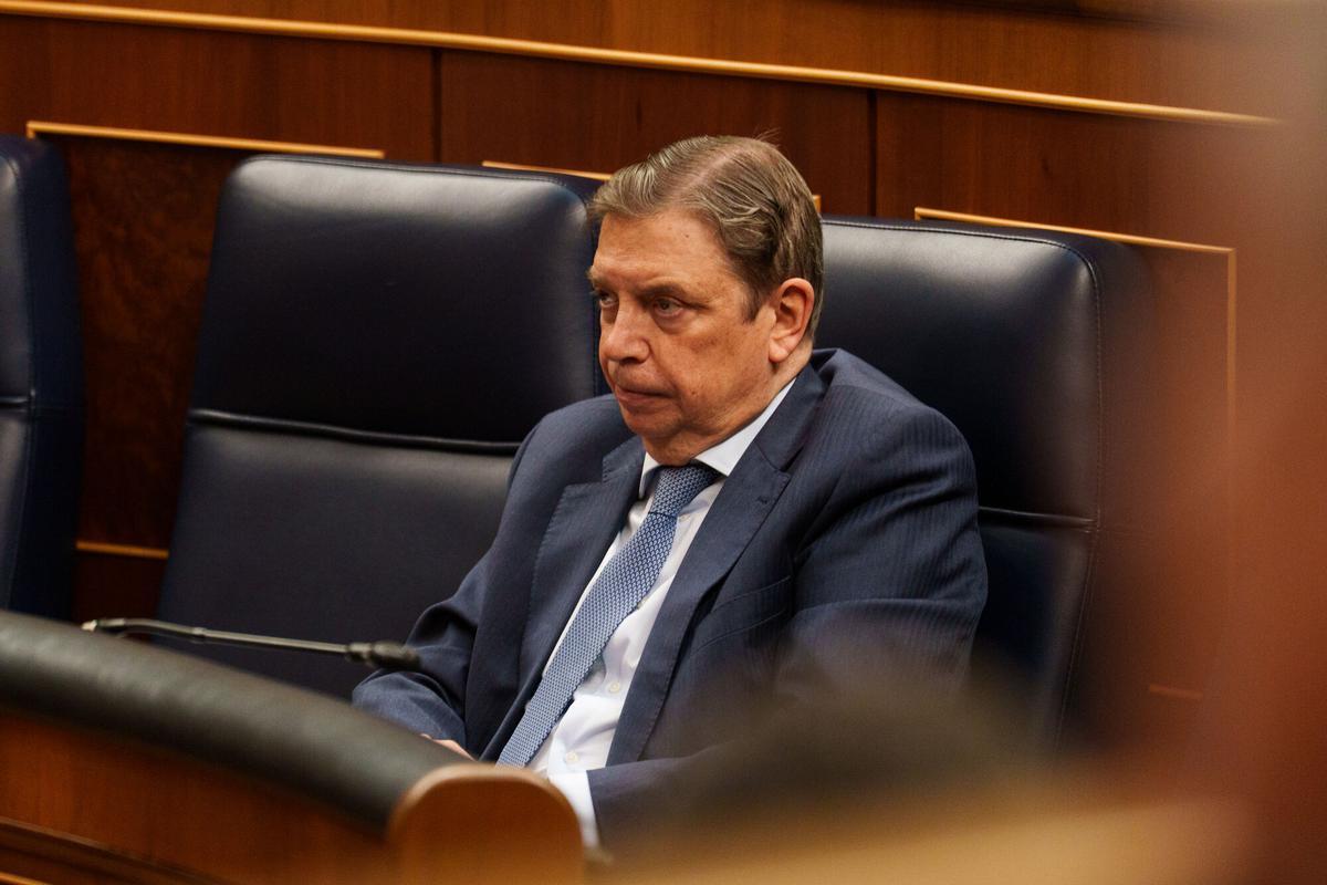 El ministro de Agricultura, Pesca y Alimentación, Luis Planas