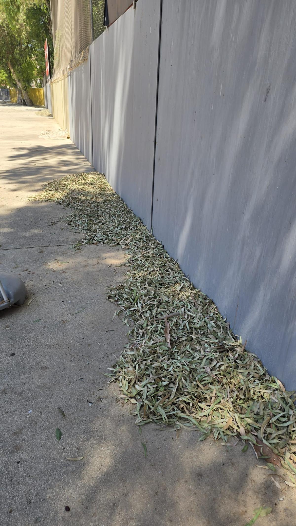 Así están las instalaciones y gradas del campo municipal de Los Arcos en Orihuela