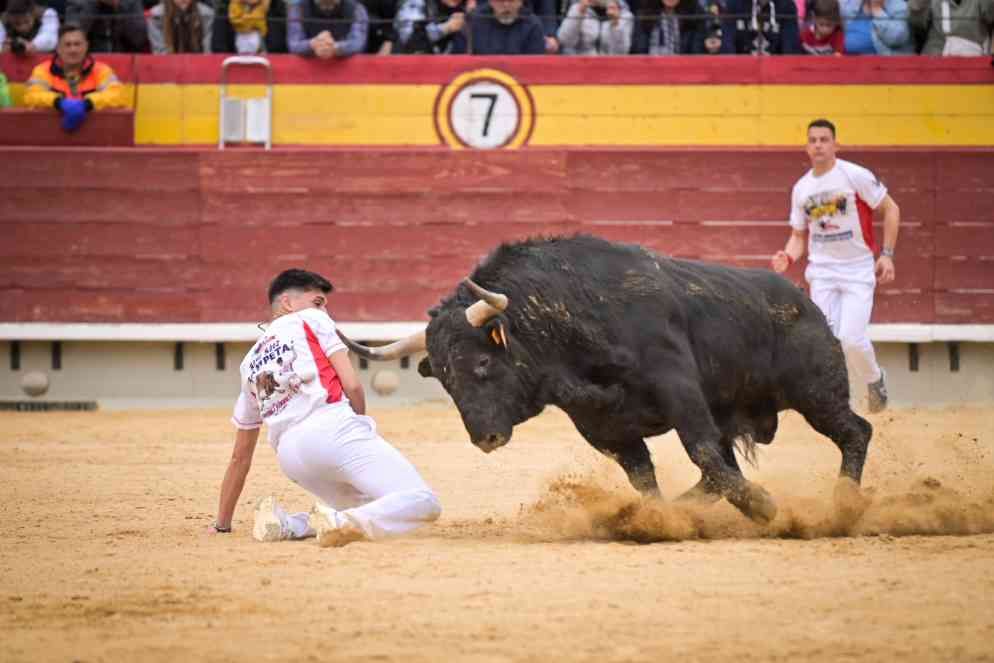 Así ha sido el Concurso Nacional de Recortadores de Castellón